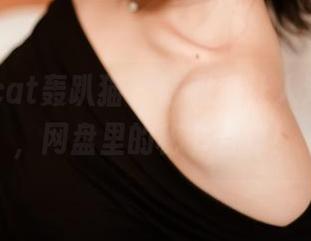partycat轰趴猫 – 陈雅漫让人难以抗拒，网盘里的秘书合集！